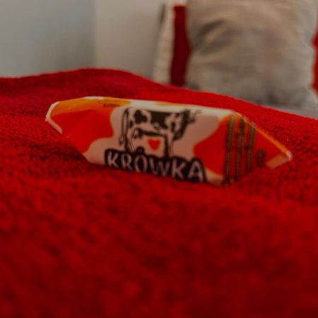Petit 1 Bed Room Condo Warszawa Center المظهر الخارجي الصورة