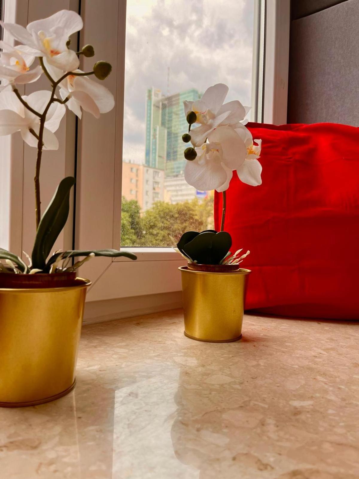 Petit 1 Bed Room Condo Warszawa Center المظهر الخارجي الصورة